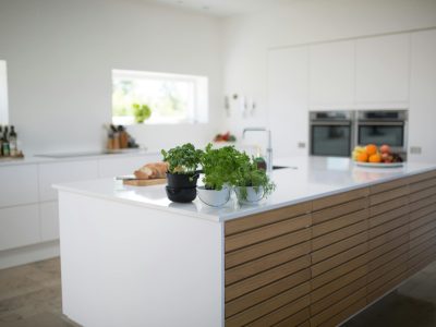 Spacious, light-filled kitchen with modern design and fresh herbs on the counter.
